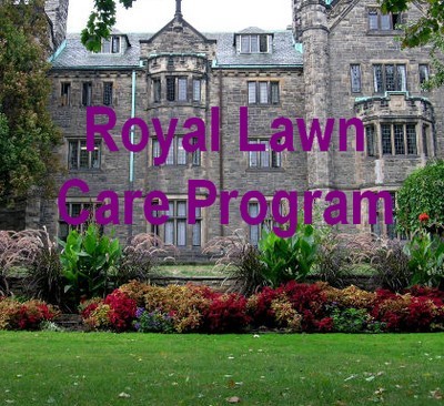 A Royal Lawn Care Program from Turf King for lawns in Oakville